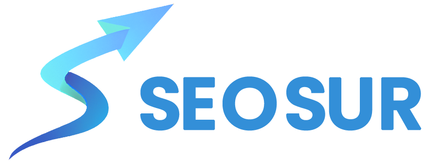 Seosur — Agencia Digital Uruguay